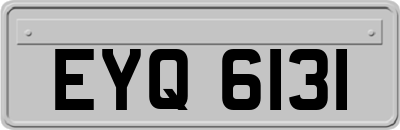 EYQ6131