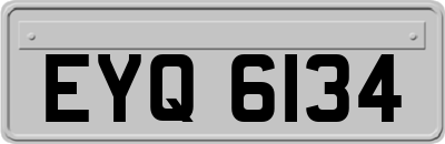 EYQ6134