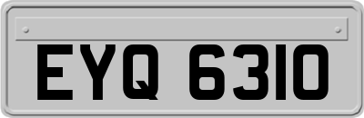 EYQ6310