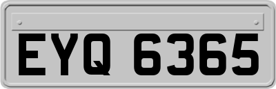 EYQ6365
