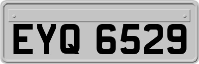 EYQ6529