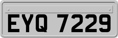 EYQ7229