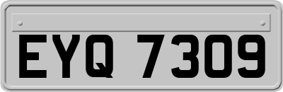 EYQ7309