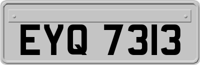 EYQ7313