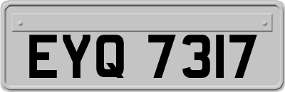 EYQ7317
