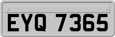 EYQ7365
