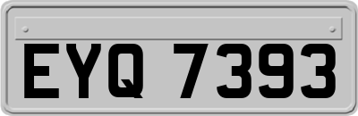 EYQ7393