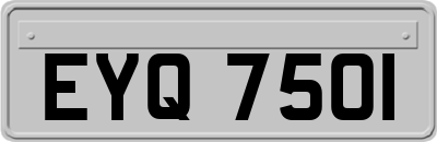 EYQ7501