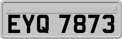 EYQ7873