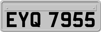 EYQ7955