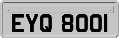EYQ8001