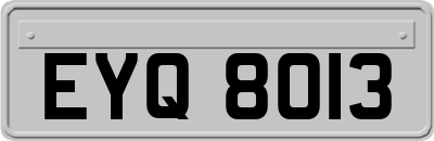 EYQ8013