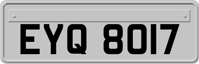 EYQ8017