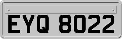 EYQ8022