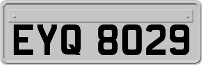EYQ8029