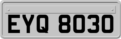 EYQ8030