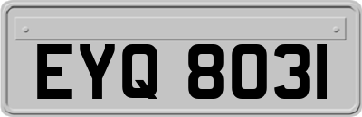 EYQ8031