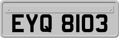 EYQ8103