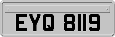 EYQ8119