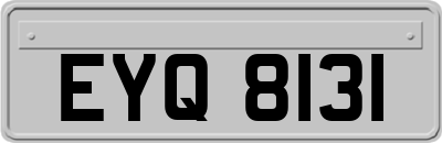 EYQ8131