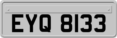 EYQ8133
