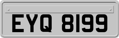 EYQ8199