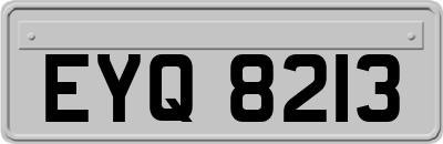 EYQ8213