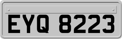 EYQ8223