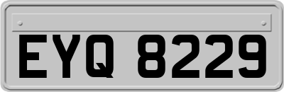 EYQ8229