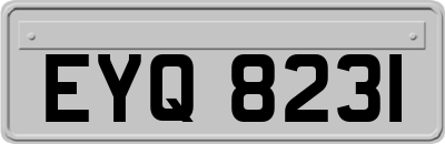 EYQ8231