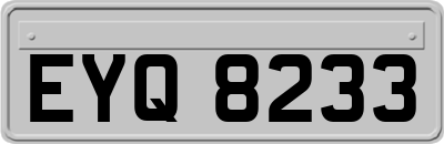 EYQ8233