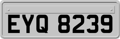 EYQ8239