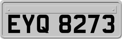 EYQ8273