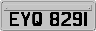 EYQ8291
