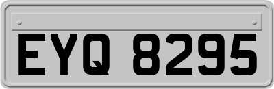 EYQ8295