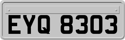 EYQ8303