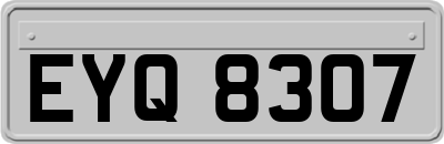 EYQ8307