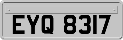 EYQ8317
