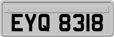 EYQ8318