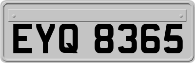 EYQ8365