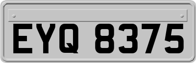 EYQ8375