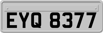 EYQ8377