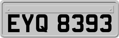EYQ8393