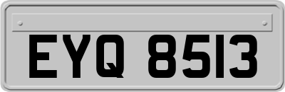 EYQ8513