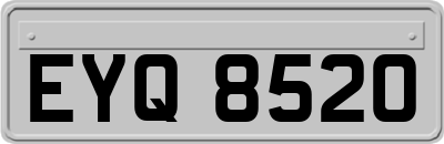 EYQ8520