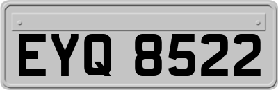 EYQ8522