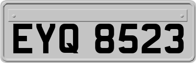 EYQ8523