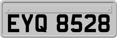 EYQ8528