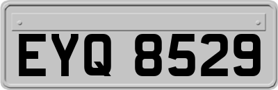 EYQ8529