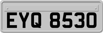 EYQ8530